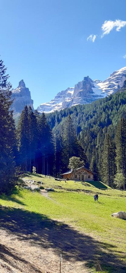 Chalet Brenta Dolomites Madonna di Campiglio Luaran gambar