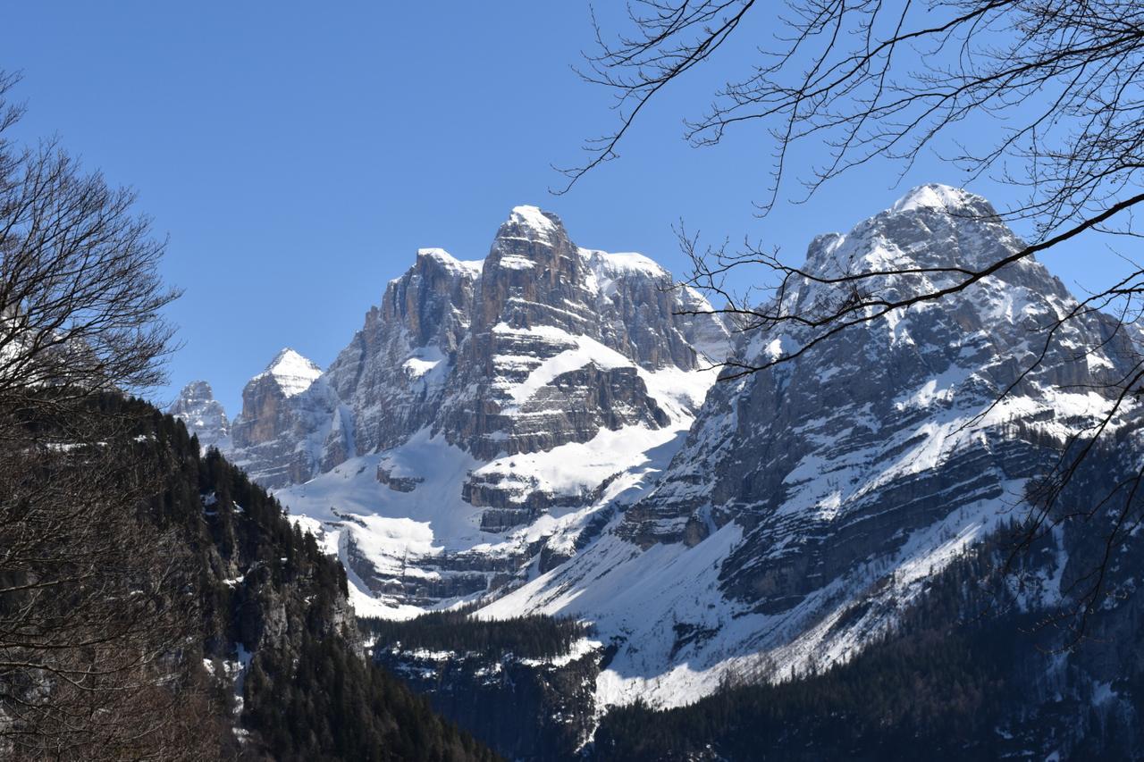 Chalet Brenta Dolomites Madonna di Campiglio Luaran gambar