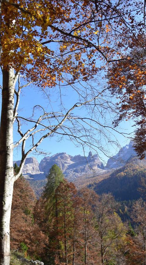 Chalet Brenta Dolomites Madonna di Campiglio Luaran gambar